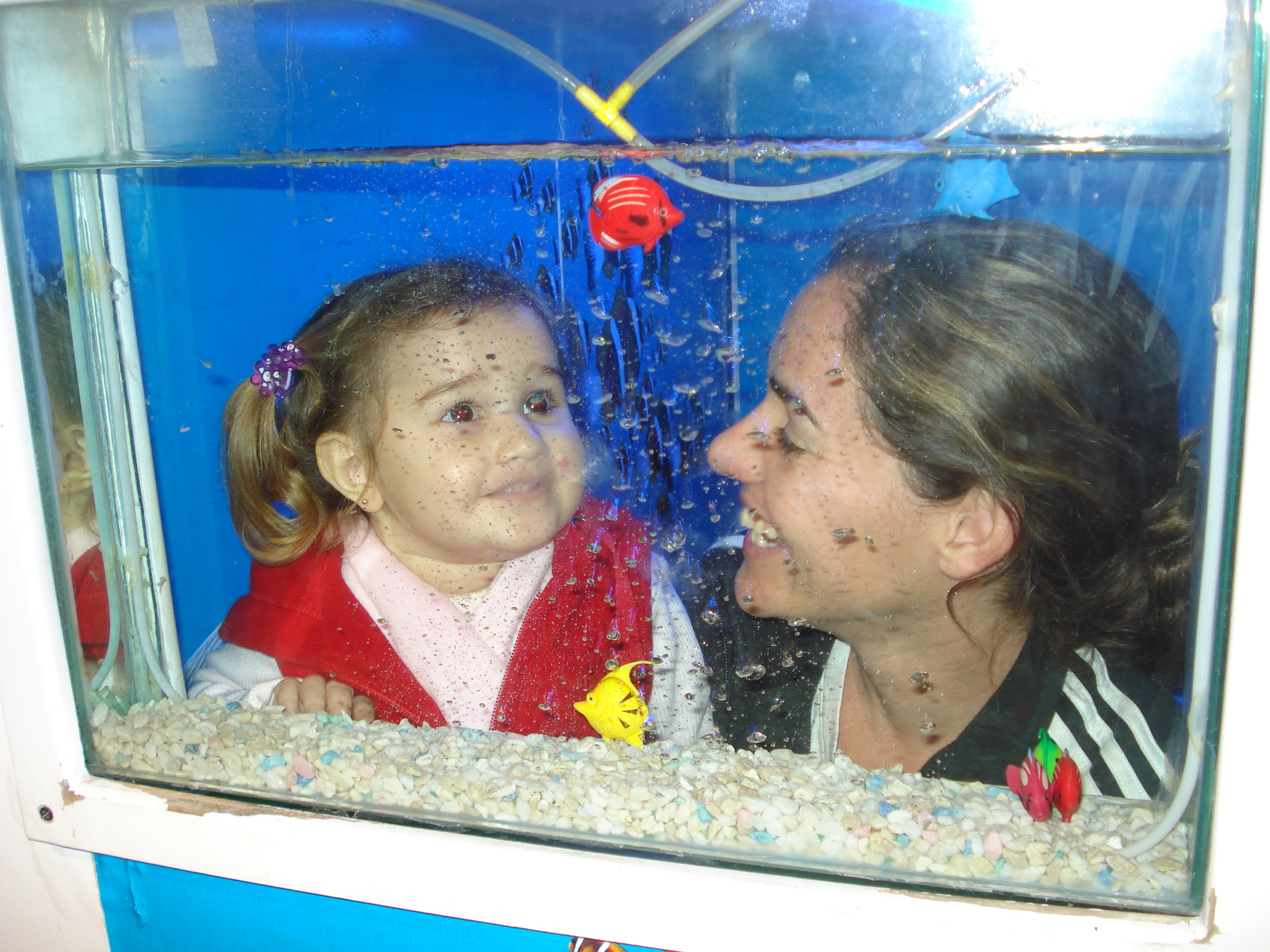 fotos/2012-12-25 - Rosario/DSC04221.JPG